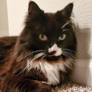 Meet your Posher, Jenni